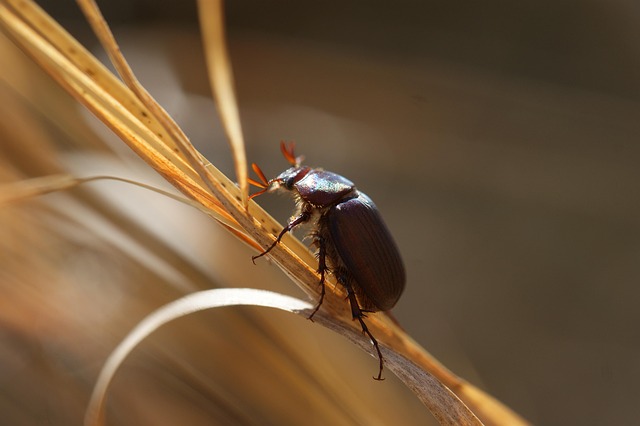 Free Six Sigma Yellow Belt Study Guide