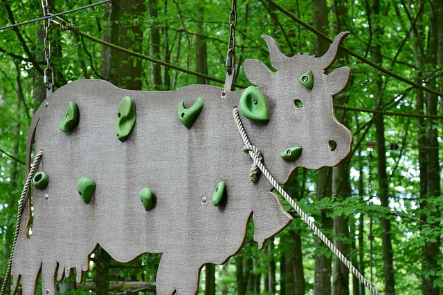 Six Sigma Yellow Belt Course with Test