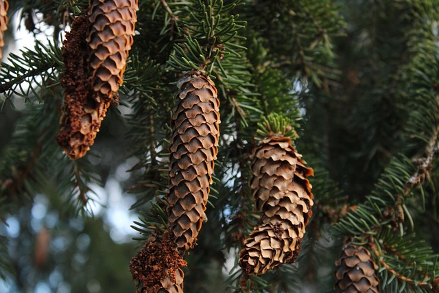 Six Sigma Yellow Belt Exam Structure