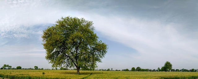 What is Six Sigma Quality?