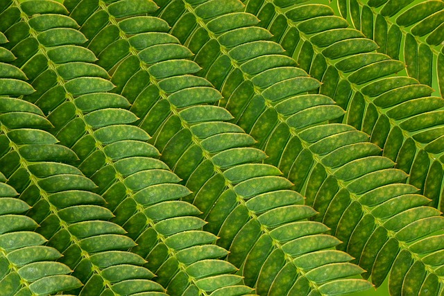 Six Sigma Yellow Belt Exam Structure