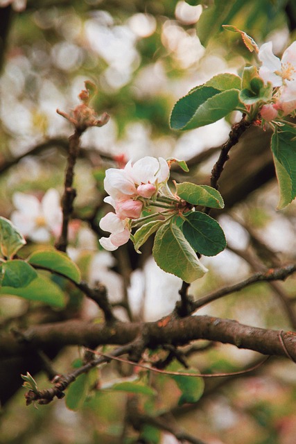 Six Sigma Green Belt Certification