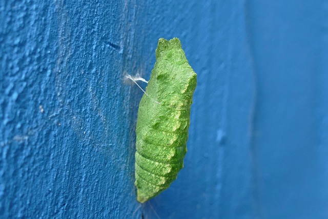 Six Sigma Yellow Belt Certification Benefits