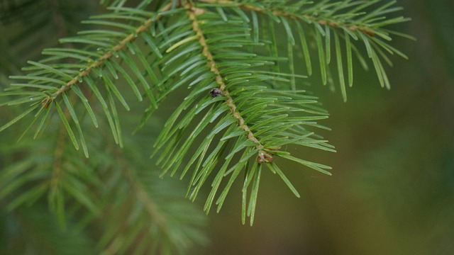 Why Six Sigma Matters