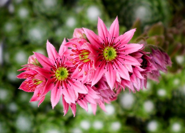 Six Sigma Project Examples