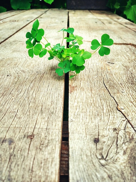 Why Six Sigma Matters