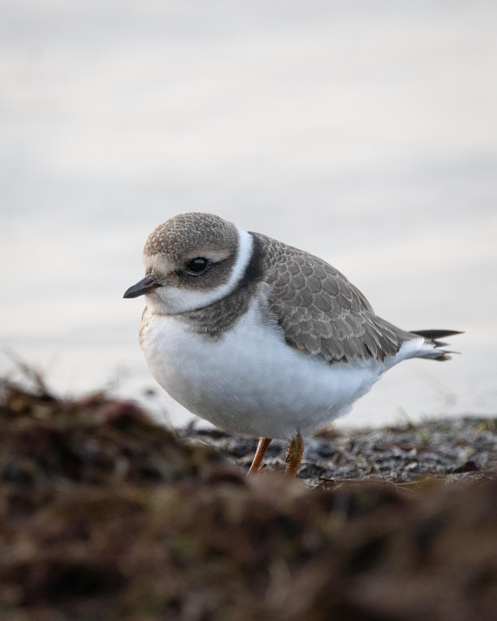 Six Sigma DMAIC Process