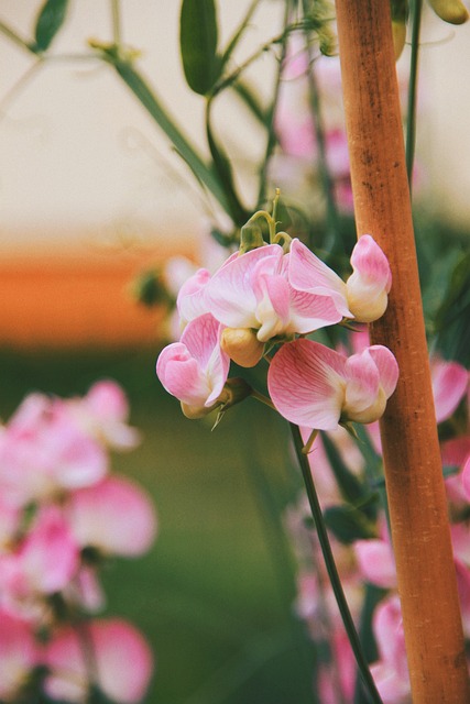 Six Sigma Green Belt Certification