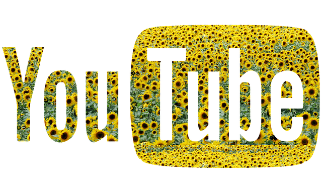 Six Sigma Industry Applications