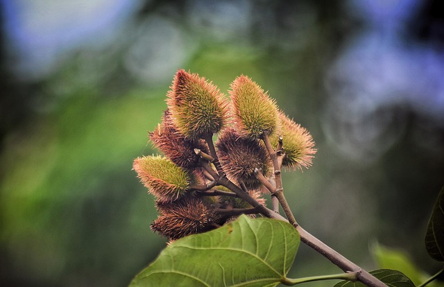 Six Sigma Definition