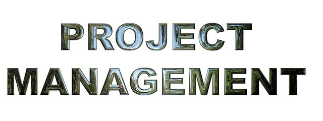 Six Sigma Project Examples