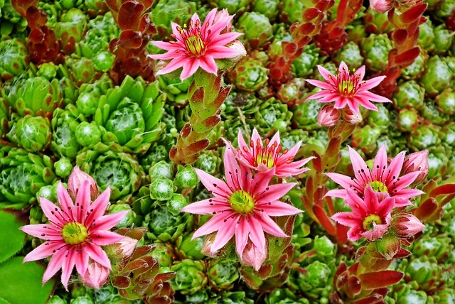 Six Sigma Project Examples