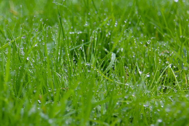 What is Six Sigma Quality?