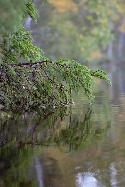 Six Sigma Explained Simply