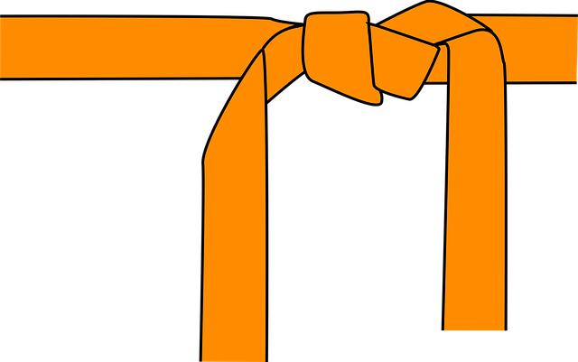 Master Six Sigma: Green Belt vs Black Belt Roles & Certification Impact