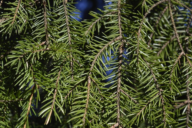 How to Implement Six Sigma