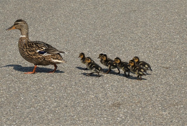 Six Sigma Explained Simply