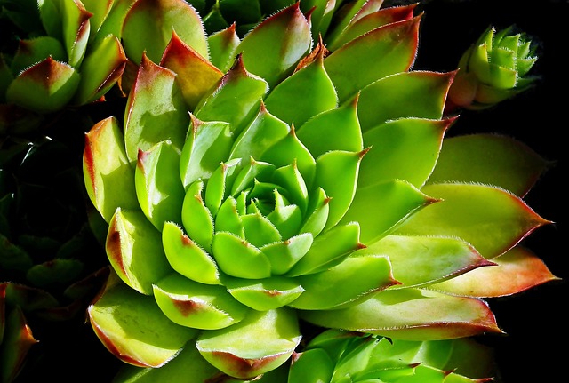 Transform Your Supply Chain with Six Sigma Strategies